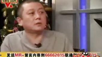 王朔点评文化 娱乐圈,娱乐圈的繁华与荒诞